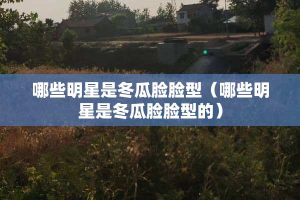 哪些明星是冬瓜脸脸型（哪些明星是冬瓜脸脸型的）
