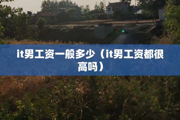 it男工资一般多少（it男工资都很高吗）
