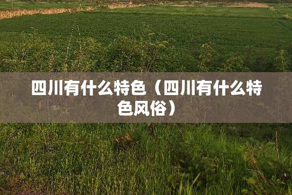 四川有什么特色（四川有什么特色风俗）