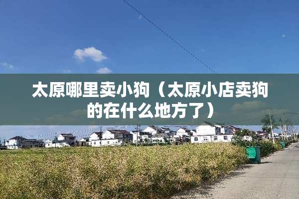 太原哪里卖小狗（太原小店卖狗的在什么地方了）