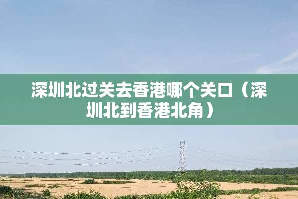 深圳北过关去香港哪个关口（深圳北到香港北角）