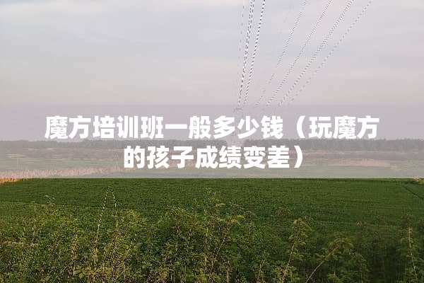 魔方培训班一般多少钱（玩魔方的孩子成绩变差）