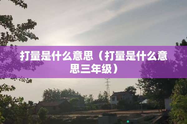 打量是什么意思（打量是什么意思三年级）