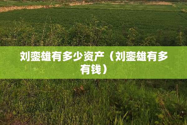 刘銮雄有多少资产（刘銮雄有多有钱）