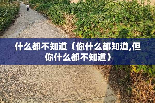 什么都不知道（你什么都知道,但你什么都不知道）