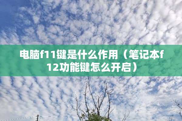 电脑f11键是什么作用（笔记本f12功能键怎么开启）