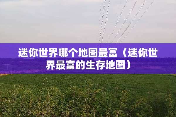 迷你世界哪个地图最富（迷你世界最富的生存地图）
