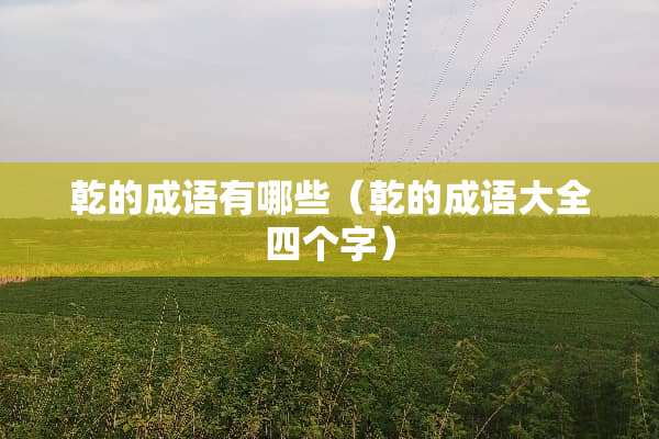 乾的成语有哪些（乾的成语大全四个字）