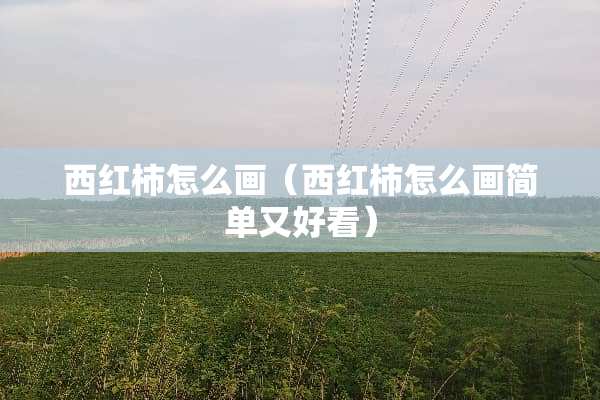 西红柿怎么画（西红柿怎么画简单又好看）