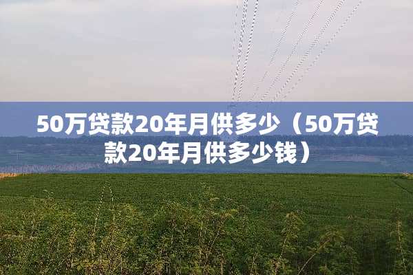 50万贷款20年月供多少（50万贷款20年月供多少钱）