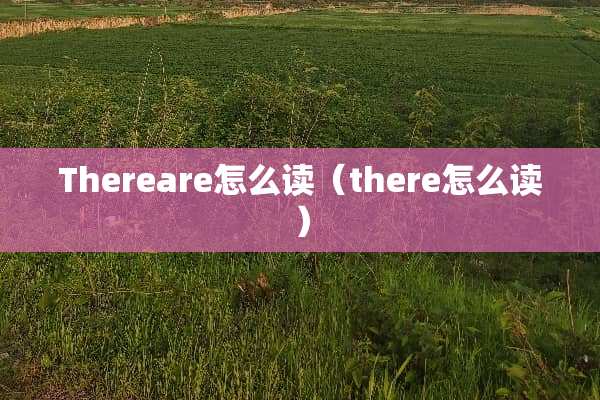Thereare怎么读（there怎么读）