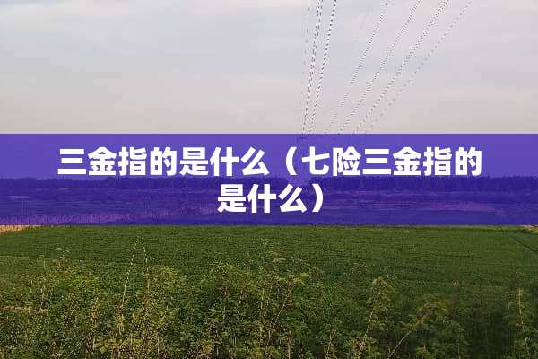 三金指的是什么（七险三金指的是什么）