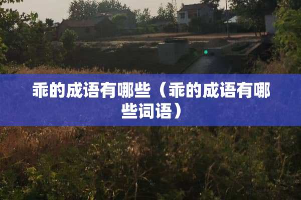 乖的成语有哪些（乖的成语有哪些词语）