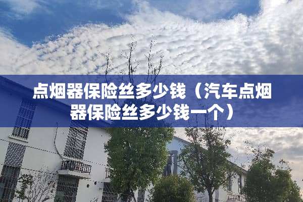 点烟器保险丝多少钱（汽车点烟器保险丝多少钱一个）