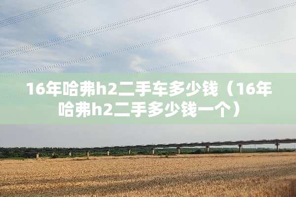 16年哈弗h2二手车多少钱（16年哈弗h2二手多少钱一个）