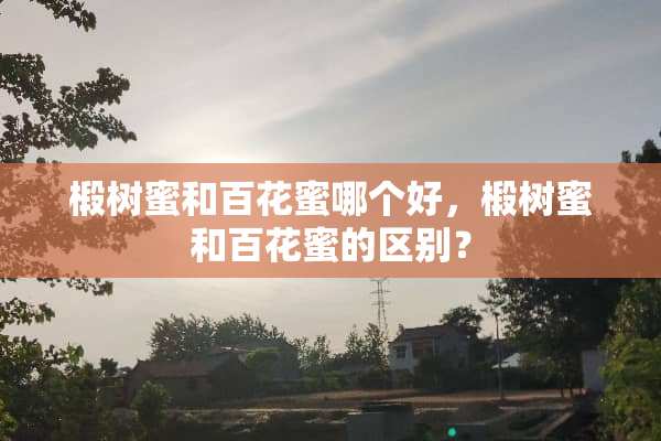 椴树蜜和百花蜜哪个好，椴树蜜和百花蜜的区别？