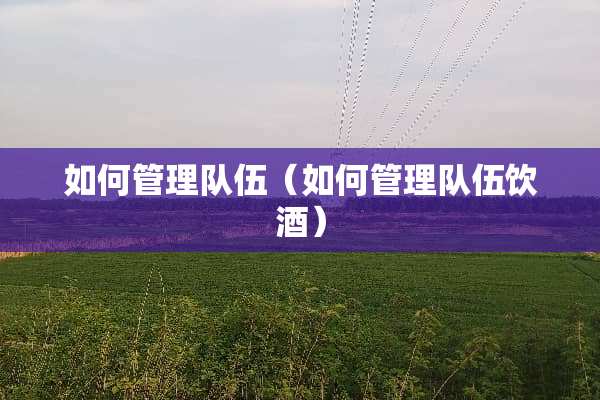如何管理队伍（如何管理队伍饮酒）