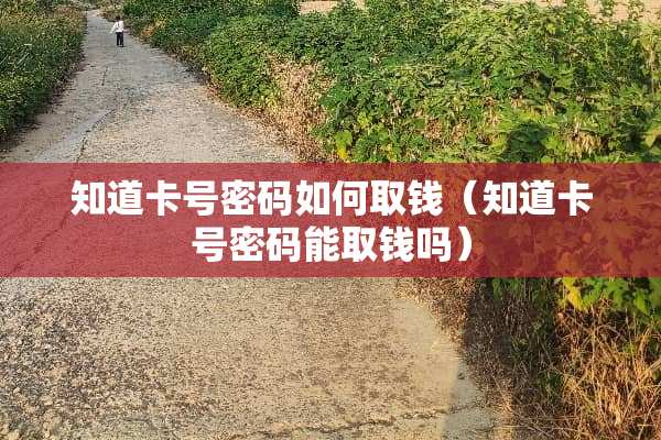 知道卡号密码如何取钱（知道卡号密码能取钱吗）