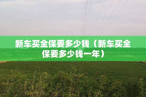 新车买全保要多少钱（新车买全保要多少钱一年）