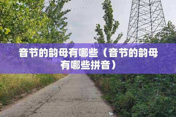 音节的韵母有哪些（音节的韵母有哪些拼音）