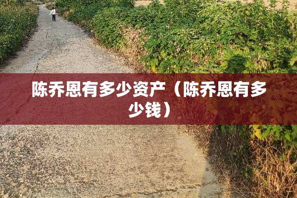 陈乔恩有多少资产（陈乔恩有多少钱）
