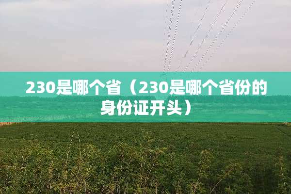 230是哪个省（230是哪个省份的身份证开头）