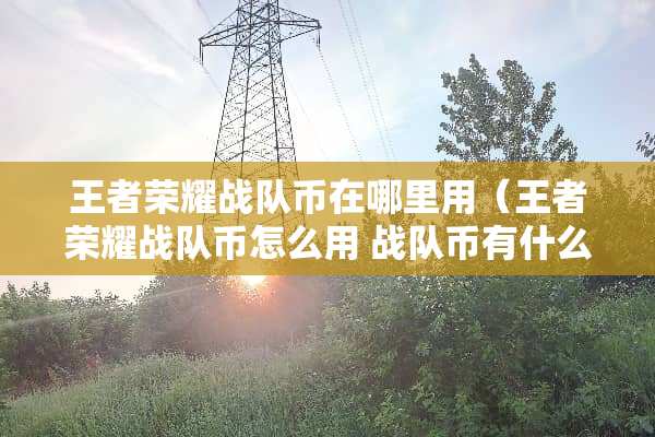 王者荣耀战队币在哪里用（王者荣耀战队币怎么用 战队币有什么用）