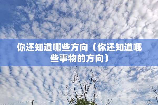 你还知道哪些方向（你还知道哪些事物的方向）
