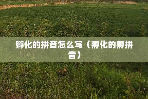孵化的拼音怎么写（孵化的孵拼音）