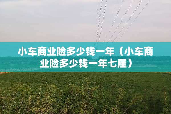 小车商业险多少钱一年（小车商业险多少钱一年七座）