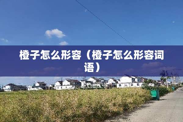 橙子怎么形容（橙子怎么形容词语）