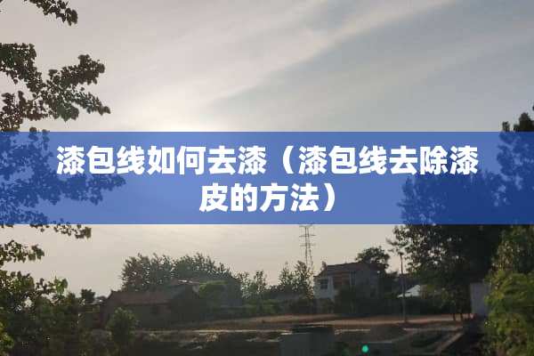 漆包线如何去漆（漆包线去除漆皮的方法）