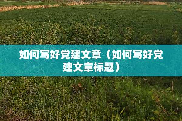 如何写好*建文章（如何写好*建文章标题）