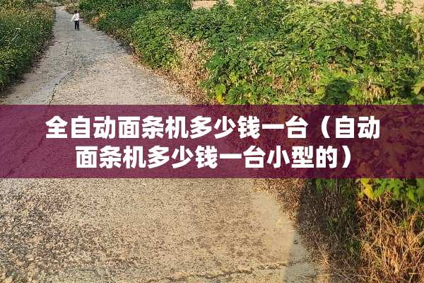 全自动面条机多少钱一台（自动面条机多少钱一台小型的）