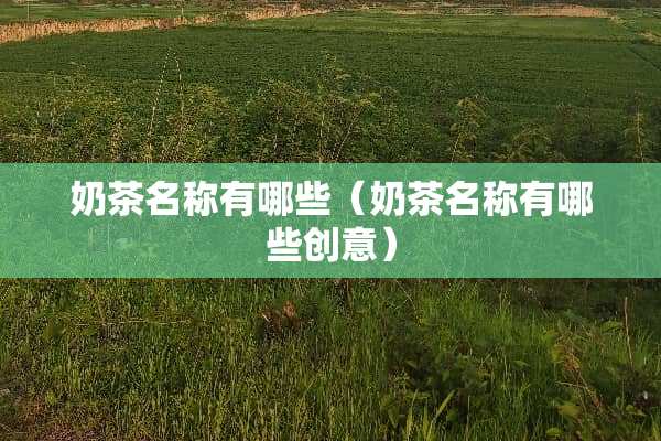 奶茶名称有哪些（奶茶名称有哪些创意）