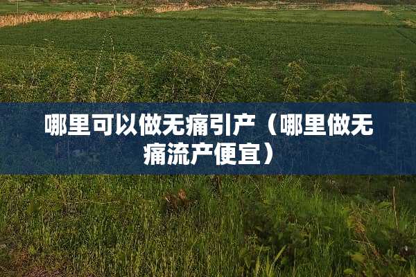 哪里可以做无痛引产（哪里做无痛流产便宜）