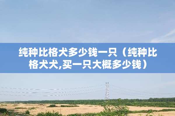 纯种比格犬多少钱一只（纯种比格犬犬,买一只大概多少钱）