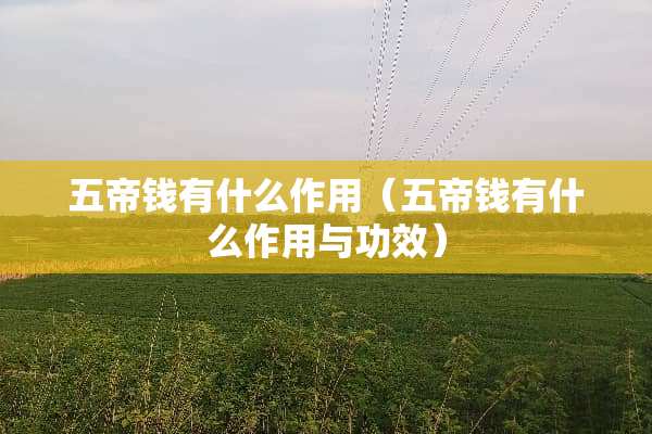 五帝钱有什么作用（五帝钱有什么作用与功效）