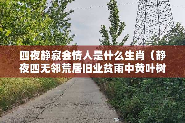 四夜静寂会**是什么生肖（静夜四无邻荒居旧业贫雨中黄叶树灯下白头人翻译）