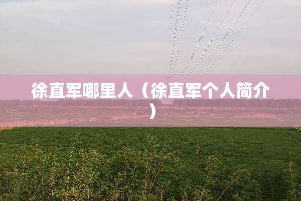 徐直军哪里人（徐直军个人简介）