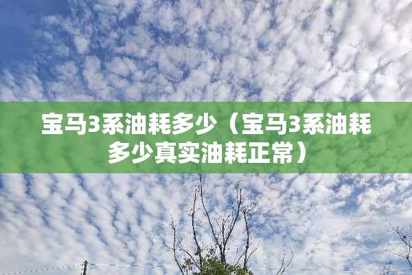 宝马3系油耗多少（宝马3系油耗多少真实油耗正常）