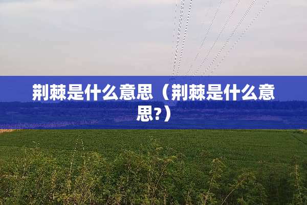 荆棘是什么意思（荆棘是什么意思?）