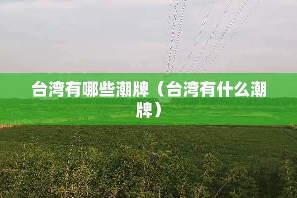 **有哪些潮牌（**有什么潮牌）