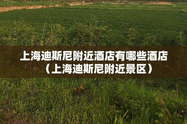 上海迪斯尼附近酒店有哪些酒店（上海迪斯尼附近景区）