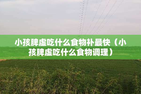 小孩脾虚吃什么食物补最快（小孩脾虚吃什么食物调理）