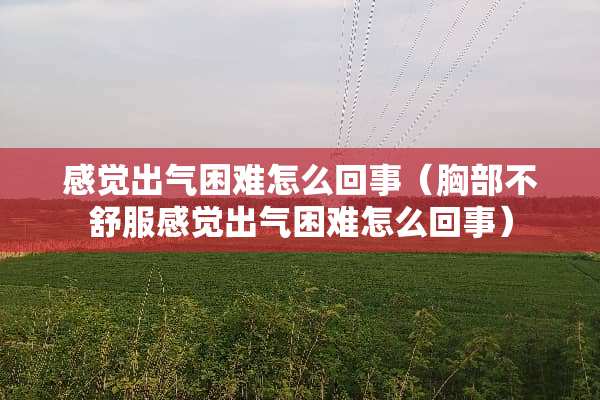感觉出气困难怎么回事（**不舒服感觉出气困难怎么回事）
