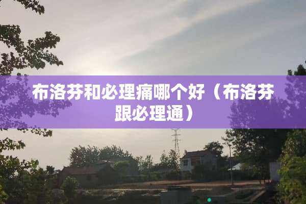 布洛芬和必理痛哪个好（布洛芬跟必理通）