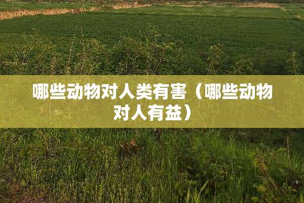 哪些动物对人类有害（哪些动物对人有益）