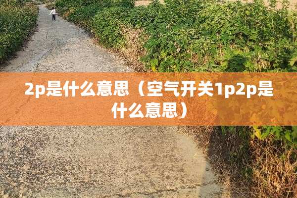 2p是什么意思（空气开关1p2p是什么意思）
