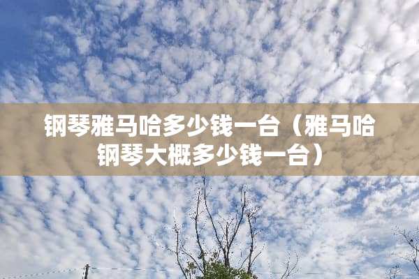 钢琴***多少钱一台（***钢琴大概多少钱一台）